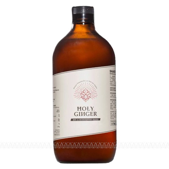 Holy Ginger Pet 750ml