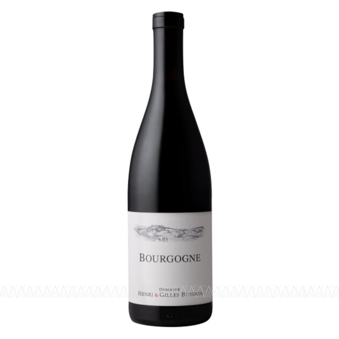 Henri & Gilles Buisson Bourgogne Rouge Pinot Noir Bio Ερυθρός Ξηρός Οίνος Γαλλίας 750ml